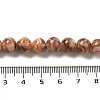 Freshwater Shell Beads Strands BSHE-L039-08B-04-4