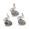 Natural Labradorite Bunny Pendants G-E422-20P-1