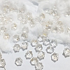 Transparent Glass Beads GLAA-B007-01G-1