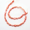 Dyed Oval Natural Freshwater Shell Beads Strands SHEL-E356-M-4
