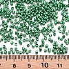 Plated Glass Cylinder Beads SEED-S047-E-002-4