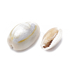 Cowrie Shell Beads SSHEL-T004-05-2