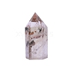 Point Tower Natural Lodolite Quartz Home Display Decoration PW-WG99911-03-4