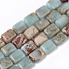 Natural Aqua Terra Jasper Beads Strands G-S366-016-1