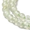 Natural Prehnite Beads Strands G-B090-A19-03-4