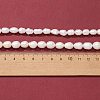 2 Strands 2 Style Natural Cultured Freshwater Pearl Beads Strands PEAR-FS0001-02-3