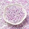 Baking Paint Glass Seed Beads SEED-F005-01A-05-2