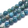 Natural Apatite Beads Strands G-F617-01-10mm-1