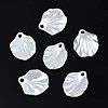 Acrylic Imitation Pearl Pendants OACR-N134-005-1