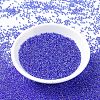 MIYUKI Round Rocailles Beads X-SEED-G007-RR0353-2