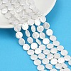 Electroplate Porcelain Imitation Pearl Beads Strands BSHE-Z009-02B-1