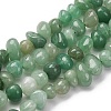 Natural Green Aventurine Beads Strands G-RM250109-B1-5