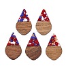 Transparent Resin and Walnut Wood Pendants RESI-T057-06F-1