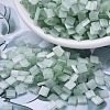 MIYUKI TILA Beads LS-X-SEED-J020-TL2560-1
