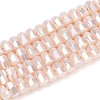 Electroplate Opaque Glass Beads Strands EGLA-N022-09A-C04-1