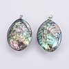 Abalone Shell/Paua Shell Big Pendants SSHEL-L008-15P-3