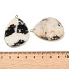 Natural Zebra Jasper Pendants G-K347-02G-02-3