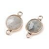 Natural Labradorite Connector Charms G-C102-09E-G-2