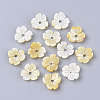 Yellow Shell Beads SSHEL-S251-38-1