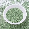 MIYUKI Delica Beads SEED-JP0008-DB0413-2