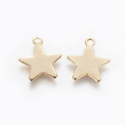 201 Stainless Steel Charms STAS-L233-031B-G-1