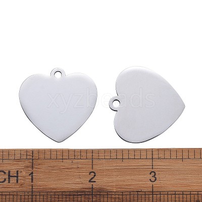 Tarnish Resistant 304 Stainless Steel Pendants LS-STAS-I140-10B-S-1