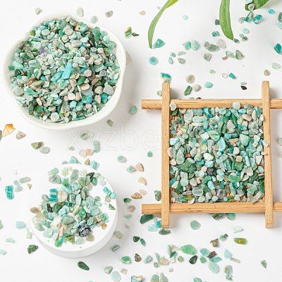 Natural Amazonite Chip Beads G-FS0001-16-1