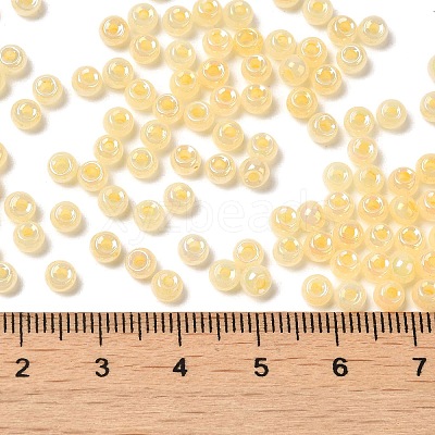 Glass Seed Beads SEED-H002-H-1307-1