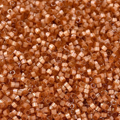 MIYUKI Delica Beads X-SEED-J020-DB1804-1
