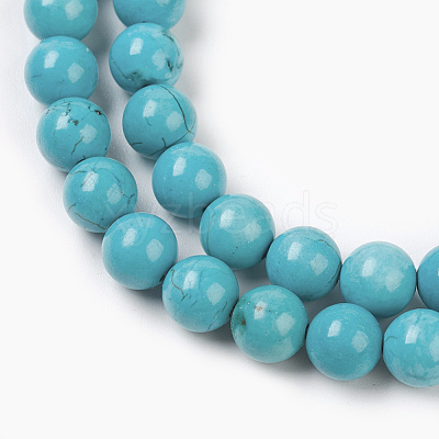 Natural Magnesite Beads Strands TURQ-P027-21A-6mm-1
