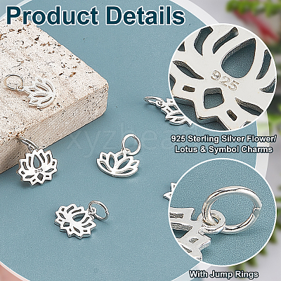 6Pcs 3 Styles 925 Sterling Silver Charms STER-PH0002-86-1