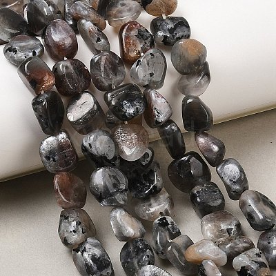 Natural Moonstone Beads Strands G-A284-A01-02-1