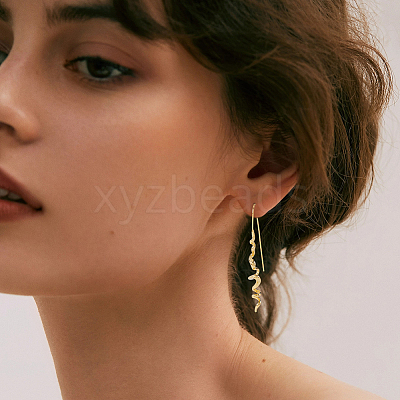 1 Pair Brass Dangle Earrings EJEW-HS0001-29G-1