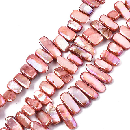 Natural Freshwater Shell Beads Strands X-SHEL-N026-123C-1