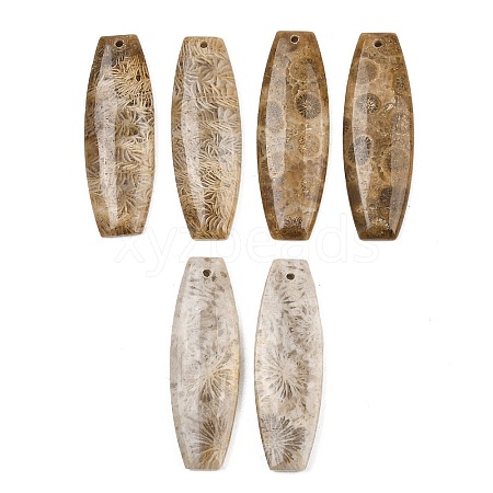 Natural Fossil Coral Pendants G-B187-01C-09-1