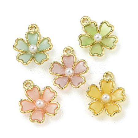 Alloy Resin Pendants FIND-M033-05-1