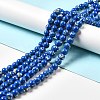 Synthetic Turquoise and Sea Shell Assembled Beads Strands G-D482-01C-03-1