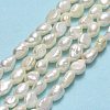 Natural Cultured Freshwater Pearl Beads Strands PEAR-A005-16-2