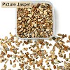 50G Natural Picture Jasper Chips G-YW0001-73-1