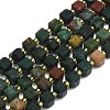 Natural Bloodstone Beads Strand G-I376-D74-01-1