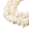 Natural White Mother of Pearl Shell Chip Bead Strands G-M205-63-5
