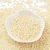Baking Paint Glass Seed Beads SEED-S042-15B-25-2