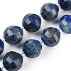 Natural Lapis Lazuli Beads Strands G-G182-B01-06-1