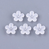 Transparent Acrylic Beads FACR-T001-04-1