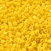 Opaque Glass Seed Beads SEED-S042-22B-02-3