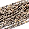 Natural Fossil Coral Round Bead Strands G-O094-08-6mm-1