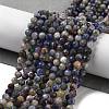 Natural Sodalite Beads Strands G-G140-A10-05-2