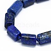 Natural Lapis Lazuli Beads Strands G-O170-100-3