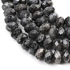 Natural Larvikite Beads Strands G-C259-A45-5x8mm-4