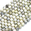 Natural White African Opal Beads Strands G-K389-A35-01-1